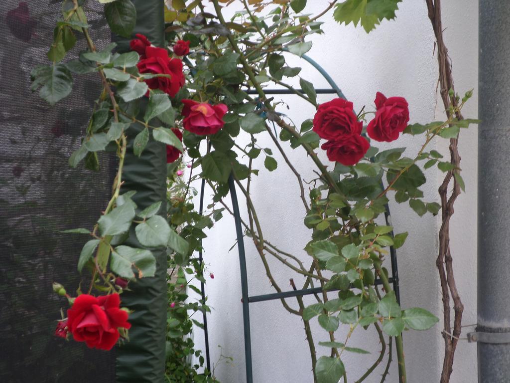 Guest House Dada Dubrovnik Luaran gambar